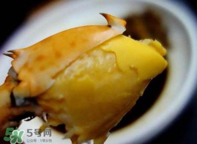 ​黄油蟹是什么蟹？黄油蟹多少钱一只