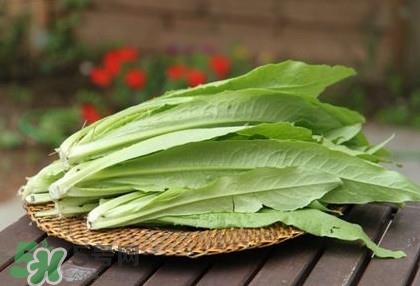莴苣叶能吃吗？莴苣叶和油麦菜有什么区别