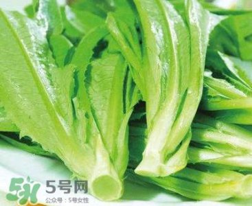 ​莴苣叶能吃吗？莴苣叶和油麦菜有什么区别