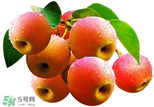 南国梨为什么有酒味？南果梨有酒味能吃吗？