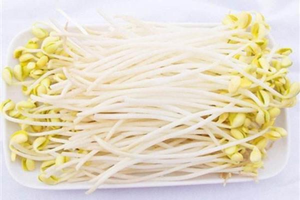 黄豆芽会引起胀气吗 黄豆芽吃了胀气怎么办