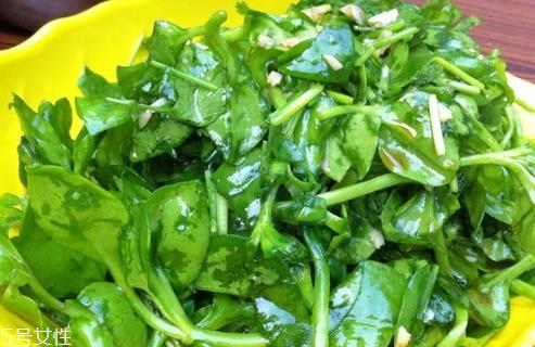 穿心莲不能和什么一起吃 相克食物