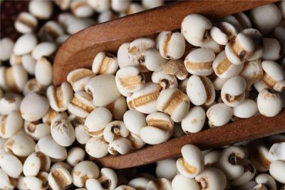 ​薏米可以打成豆浆喝吗 薏米每次吃多少合适