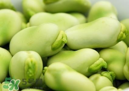 蚕豆可以打豆浆吗?怎么打豆浆呢