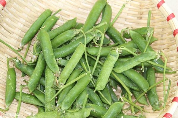 豌豆会过敏吗 正常情况下不会