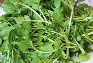 西洋菜是凉性的吗？西洋菜是性寒的菜吗
