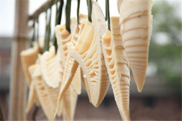竹笋能生吃吗 竹笋生吃有毒吗