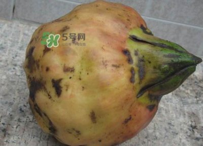 ​鸡头米是凉性的吗？鸡头米是哪里的特产