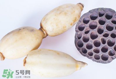 ​莲蓬和莲藕一样吗？莲蓬和莲藕的区别