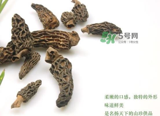 野生羊肚菌多少钱一斤？干羊肚菌多少钱一斤