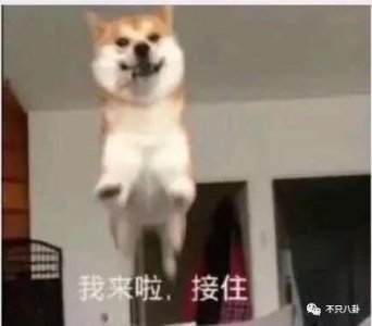 ​阿娇离婚了？理由不是老公爱玩而是阿娇没爱过？