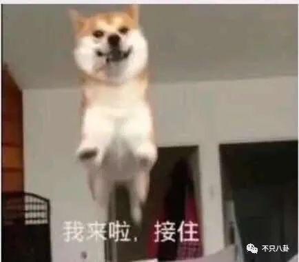 阿娇离婚了？理由不是老公爱玩而是阿娇没爱过？