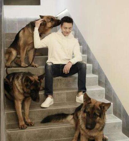 鹿晗关晓彤李易峰获央视春晚邀约，陈伟霆王嘉也将同台献唱