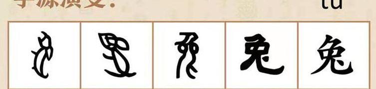 狡兔三窟打一生肖（狡兔三窟打一生肖马）