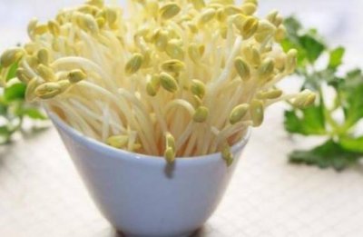 ​豆芽种植的详细方法及其步骤，在家就能种，天天吃新鲜的