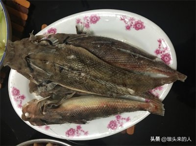 ​冷门小众的海南海鲜-角鱼
