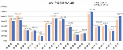 ​山东省人口流动：区域发展不平衡引发净流出与净流入
