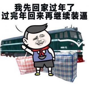 ​大包小包回家过年的表情包