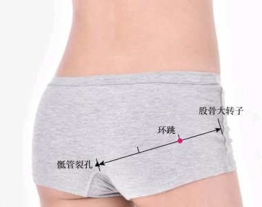 ​回阳九针穴之一环跳