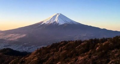 ​日本富士山下的死亡森林，无数日本人的终结之地