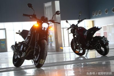 ​“狮”情画意 复古猛兽 幼狮全球首发深度测评