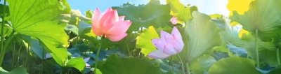 ​越战三部曲之《野战排》： 老美自己枪杀自己人，简直不要太癫狂！