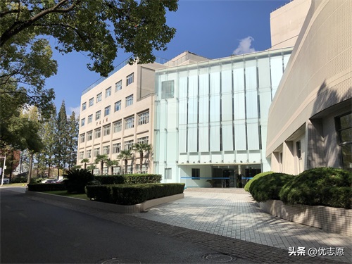 上海财经大学校园风光，走进深秋的校园，实在太美了