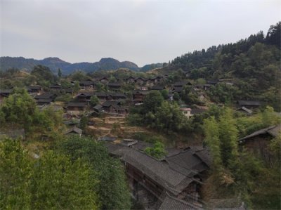 ​湘西剿匪史记（2）：1949年，湘西纵队成为解放湘西和剿匪急先锋