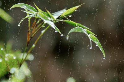 ​【天气】雷电+暴雨+大风，雁江发布暴雨蓝色预警