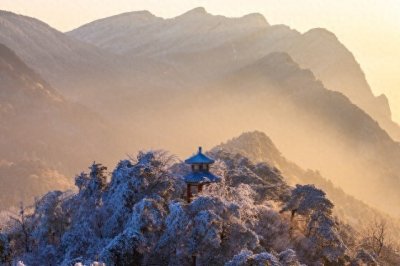 ​我想回家(我61岁，雇39岁男保姆。他说：“姐，我身体扛不住，我想回家！”)