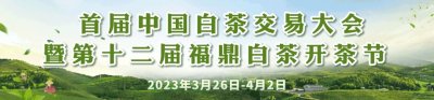 ​这个福鼎白茶饼将申报吉尼斯世界纪录！
