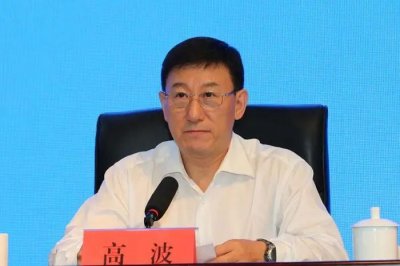 ​全国政协副秘书长高波，有新职