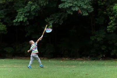 ​李玫瑾教授一语道破教育孩子的真谛：小时候斗勇，长大了斗智
