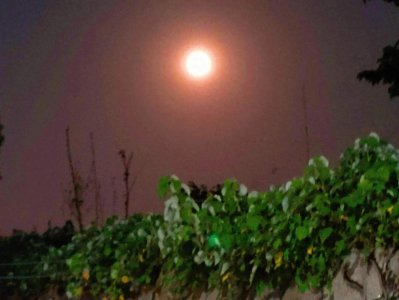 ​七月十五为“鬼节”，什么是鬼节？民间有什么习俗和讲究