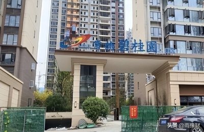 ​谁买谁后悔！一个快倒闭的企业！碧桂园已经负债一万多亿？