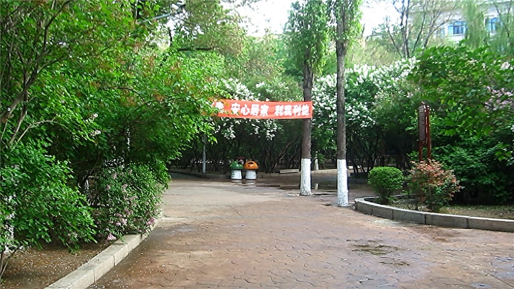 哈尔滨隐藏最深的一座公园，外地人恐怕都找不到——清滨公园