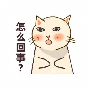 ​领角鸮疑似捕食时撞上楼栋外墙，市民紧急救助！