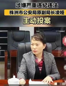 ​湖南警花凌娅，“吸毒”“涉黑”“淫乱下属”，揭秘她的黑历史