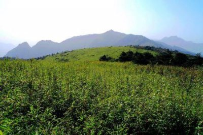 ​九寨沟旅游几月份景点最美
