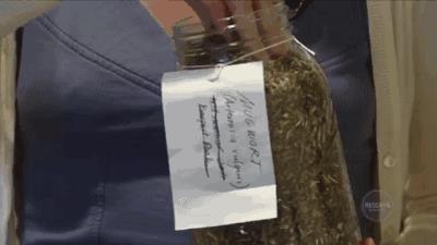 法国电影里最离不开的就是香烟！