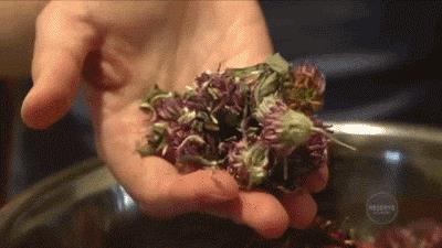 法国电影里最离不开的就是香烟！