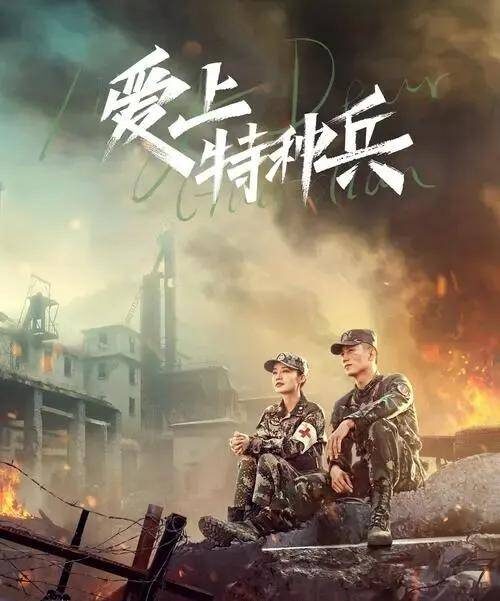 反恐特战队电视剧有哪些(十部关于中国特警的电视剧)插图4