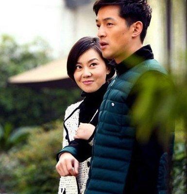 胡歌的电视剧有哪些（胡歌主演的7部电视剧介绍）(13)