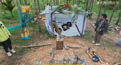 ​他们怎么落魄成这样了？