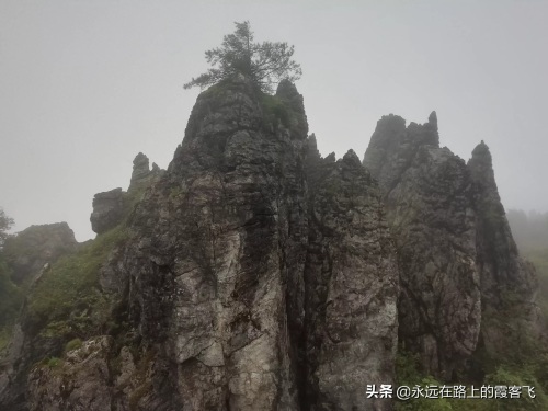 神农架景区地图攻略