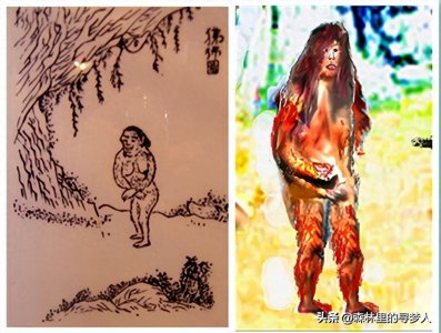 ​人类追寻森林古猿(野人）的科学考察不应该停止