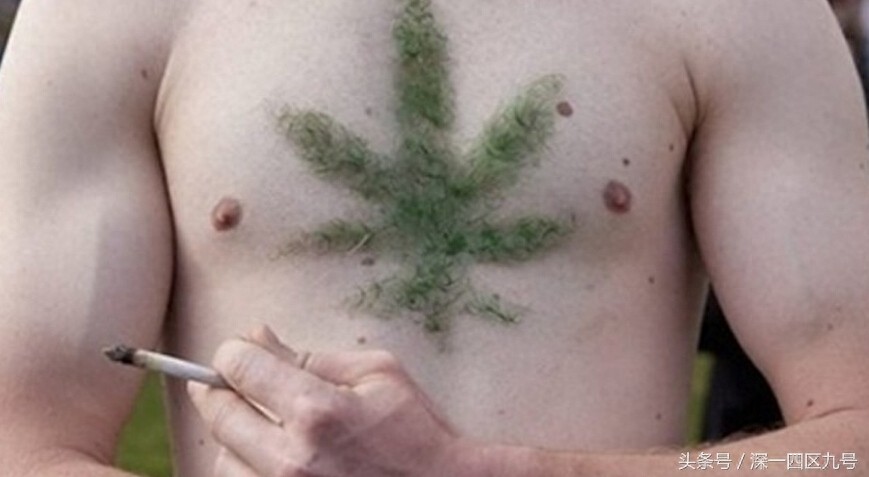 难以理解的胸毛艺术！