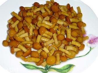 滑子菇的禁忌人群 哪些人不能吃滑子菇? 滑子菇的禁忌人群 哪些人不能吃滑子菇?