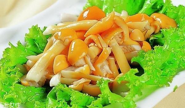 滑子菇的禁忌人群 哪些人不能吃滑子菇? 滑子菇的禁忌人群 哪些人不能吃滑子菇?