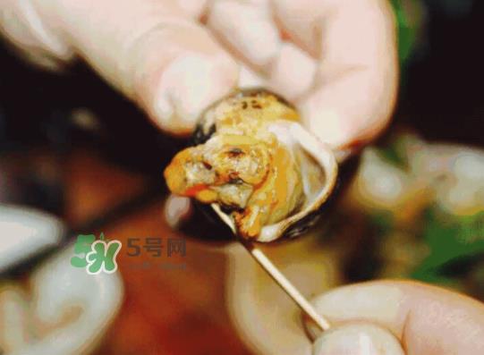 海螺多少钱一斤 海螺要煮多长时间 海螺多少钱一斤 海螺要煮多长时间